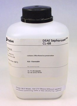 DEAE-Sepharose&#8482; CL-6B Cytiva 17-0710-01, pack of 500&#160;mL