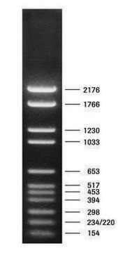 DNA Molecular Weight Marker VI pkg of 50&#160;&#956;g (in 200 &#956;l), solution