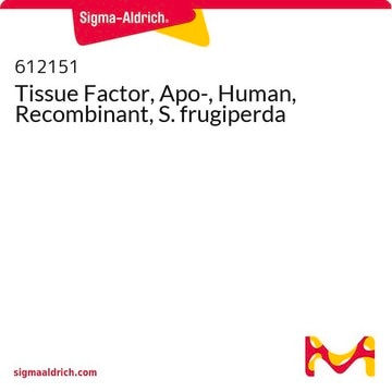 Tissue Factor, Apo-, Human, Recombinant, S. frugiperda