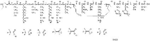 Notch Transcription Factor Inhibitor, SAHM1 Notch Transcription Factor Inhibitor, SAHM1, is a cell-permeable inhibitor that prevents assembly in the NOTCH1 trans-activation complex.