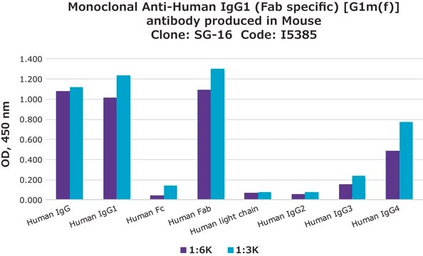 Monoclonal Anti-Human IgG1 (Fab specific) [G1m(f)] antibody produced in mouse clone SG-16, ascites fluid