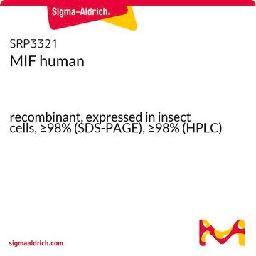 MIF human recombinant, expressed in insect cells, &#8805;98% (SDS-PAGE), &#8805;98% (HPLC)