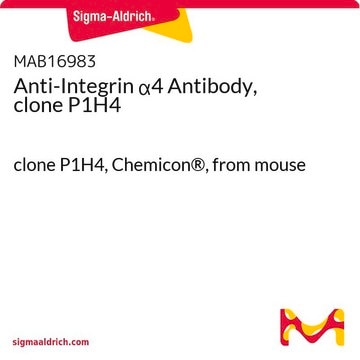 Anti-Integrin &#945;4 Antibody, clone P1H4 clone P1H4, Chemicon&#174;, from mouse