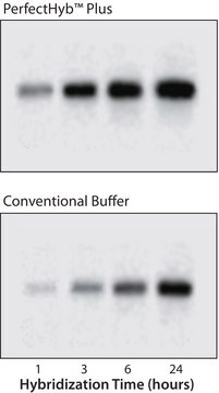 PerfectHyb&#8482; Plus Hybridization Buffer for Northern and Southern blotting, solution