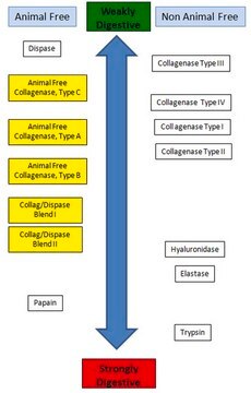 Animal Free Collagenase/Dispase Blend II Animal Free Collagenase/Dispase Blend II is a mixture of animal free collagenase, type B, and neutral protease/dispase, and is inteneded to be used when a more potent enzymatic dissociatation solution than collagnaease is desired.