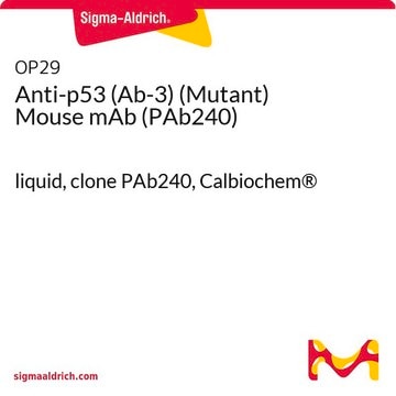 Anti-p53 (Ab-3) (Mutant) Mouse mAb (PAb240) liquid, clone PAb240, Calbiochem&#174;