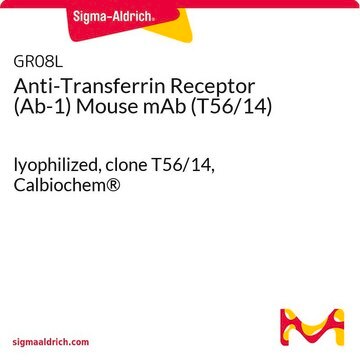 Anti-Transferrin Receptor (Ab-1) Mouse mAb (T56/14) lyophilized, clone T56/14, Calbiochem&#174;