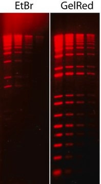 GelRed&#174; Nucleic Acid Stain 10000X Water GelRed is a fluorescent nucleic acid stain designed to replace the highly toxic ethidium bromide (EtBr) for staining dsDNA, ssDNA or RNA in agarose gels or polyacrylamide gels.