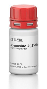 Adenosine 2&#8242;,5&#8242;-diphosphate–Agarose lyophilized powder