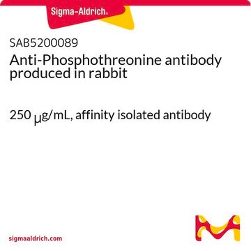 Anti-Phosphothreonine antibody produced in rabbit 250&#160;&#956;g/mL, affinity isolated antibody