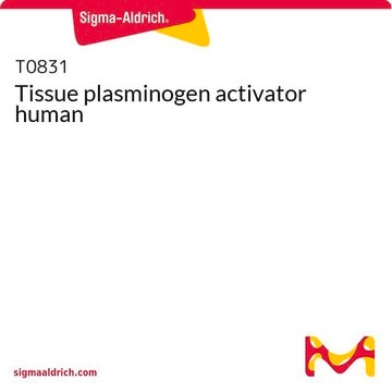 Tissue plasminogen activator human