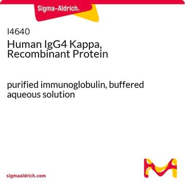 Human IgG4 Kappa, Recombinant Protein purified immunoglobulin, buffered aqueous solution