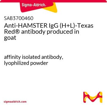 Anti-HAMSTER IgG (H+L)-Texas Red&#174; antibody produced in goat affinity isolated antibody, lyophilized powder