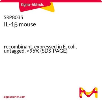 IL-1&#946; mouse recombinant, expressed in E. coli, untagged, &gt;95% (SDS-PAGE)