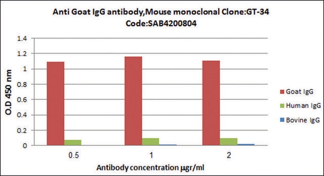 Anti-Goat/sheep IgG antibody, Mouse monoclonal clone GT-34, purified from hybridoma cell culture