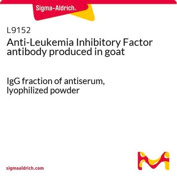 Anti-Leukemia Inhibitory Factor antibody produced in goat IgG fraction of antiserum, lyophilized powder