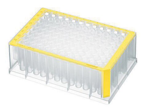 Eppendorf&#174; Deepwell Plate 96/1000&#956;L PCR Clean, volume 1000&#160;&#956;L, yellow border with clear wells, pkg of 20&#160;plates (5 bags x 4 plates)