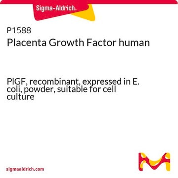 Placenta Growth Factor human PlGF, recombinant, expressed in E. coli, powder, suitable for cell culture