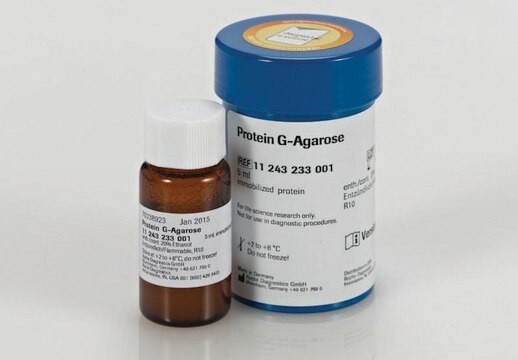 Protein G Agarose &gt;98% (HPLC and SDS-PAGE), suspension