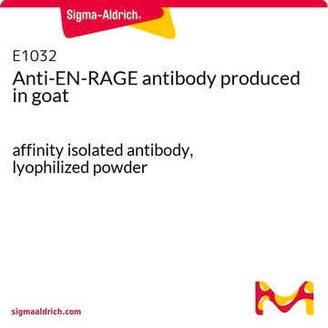 Anti-EN-RAGE antibody produced in goat affinity isolated antibody, lyophilized powder