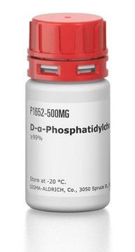 D-&#945;-Phosphatidylcholine, dipalmitoyl &#8805;99%