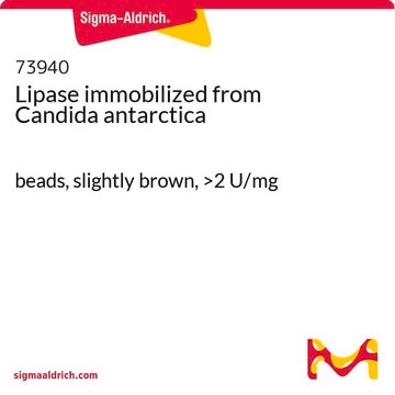 Lipase immobilized from Candida antarctica beads, slightly brown, &gt;2&#160;U/mg