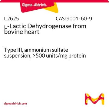 L-Lactic Dehydrogenase from bovine heart Type III, ammonium sulfate suspension, &#8805;500&#160;units/mg protein