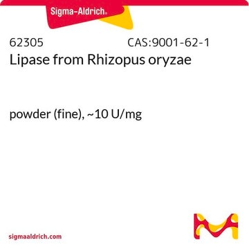 Lipase from Rhizopus oryzae powder (fine), ~10&#160;U/mg