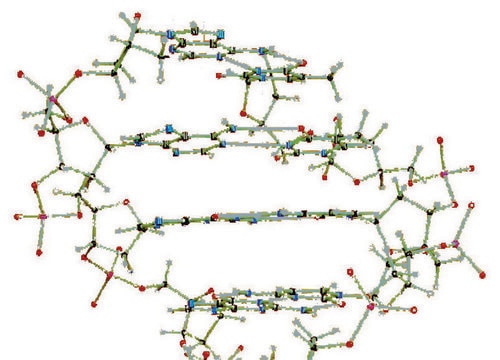 Cochranes molecular models minit, DNA, single kit with booklet