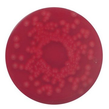 Blood agar (base) no. 2 for the cultivation of fastidious microorganisms