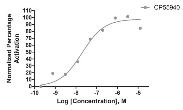 Ready-to-Assay CB1 Cannabinoid Receptor Frozen Cells