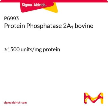 Protein Phosphatase 2A1 bovine &#8805;1500&#160;units/mg protein