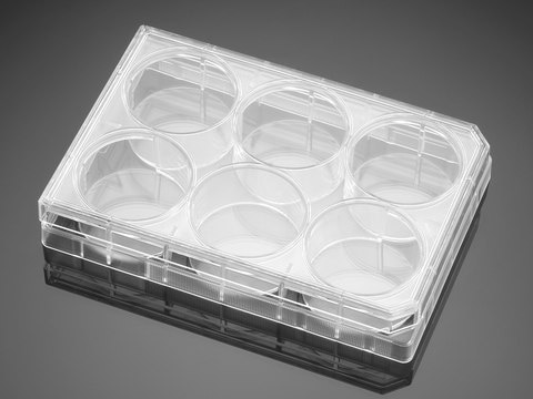 Corning&#174; BioCoat&#8482; Poly-D-Lysine/Laminin Multiwell Plate well size 6&#160;wells, flat bottom clear wells, lid