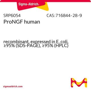 ProNGF human recombinant, expressed in E. coli, &#8805;95% (SDS-PAGE), &#8805;95% (HPLC)