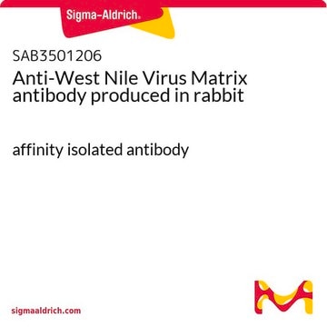 Anti-West Nile Virus Matrix antibody produced in rabbit affinity isolated antibody