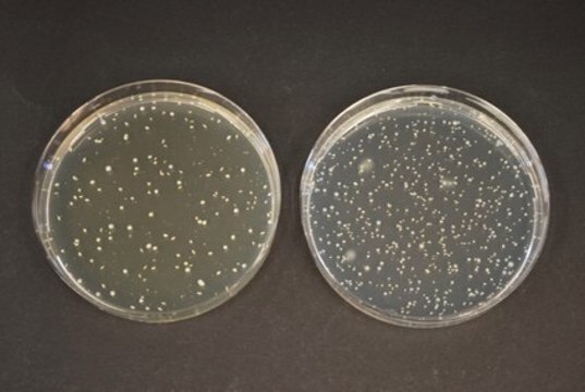 TOS-Propionate Agar (Base) GranuCult&#174;, suitable for microbiology, for Bifidobacterium spp.