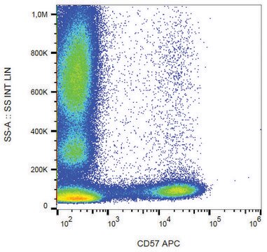 Monoclonal Anti-CD57-APC antibody produced in mouse clone TB01