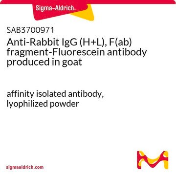 Anti-Rabbit IgG (H+L), F(ab) fragment-Fluorescein antibody produced in goat affinity isolated antibody, lyophilized powder