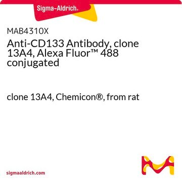 Anti-CD133 Antibody, clone 13A4, Alexa Fluor&#8482; 488 conjugated clone 13A4, Chemicon&#174;, from rat