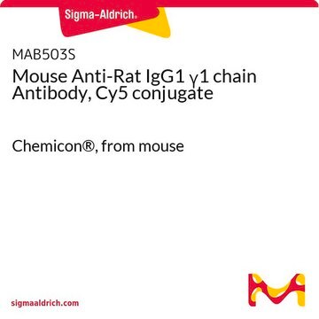 Mouse Anti-Rat IgG1 &#947;1 chain Antibody, Cy5 conjugate Chemicon&#174;, from mouse