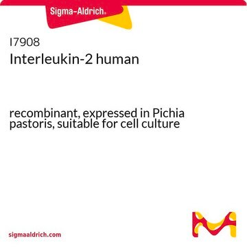 Interleukin-2 human recombinant, expressed in Pichia pastoris, suitable for cell culture