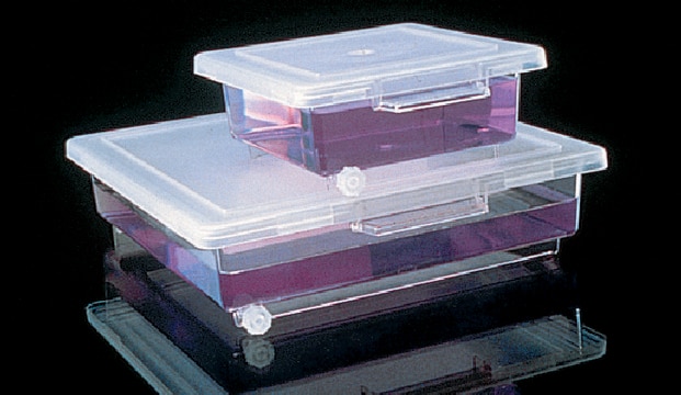 Nalgene&#174; staining box L × W × H 12.5&#160;cm × 12.5&#160;cm × 5&#160;cm