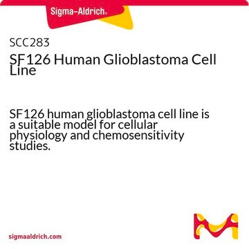 SF126 Human Glioblastoma Cell Line SF126 human glioblastoma cell line is a suitable model for cellular physiology and chemosensitivity studies.