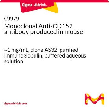 Monoclonal Anti-CD152 antibody produced in mouse ~1&#160;mg/mL, clone AS32, purified immunoglobulin, buffered aqueous solution