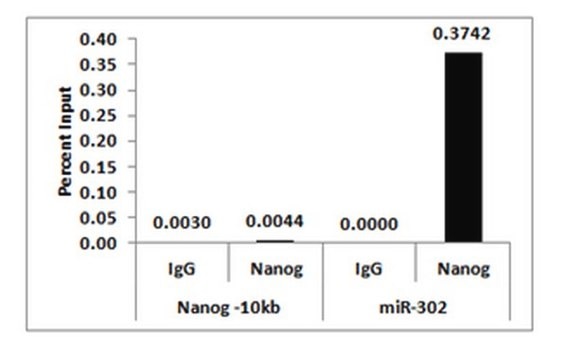 ChIPAb+ Nanog Antibody - ChIP Validated Antibody and Primer Set from mouse