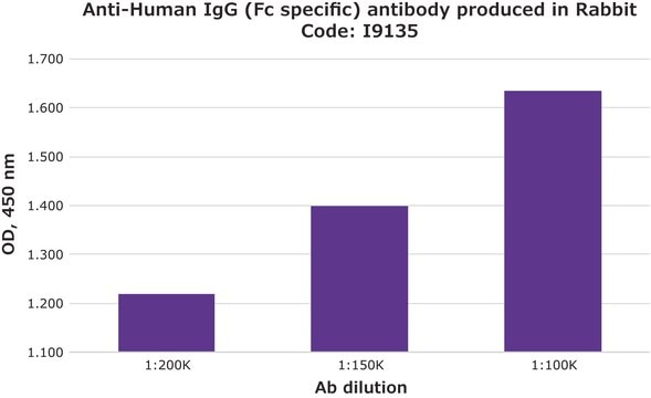 Anti-Human IgG (Fc specific) antibody produced in rabbit whole antiserum