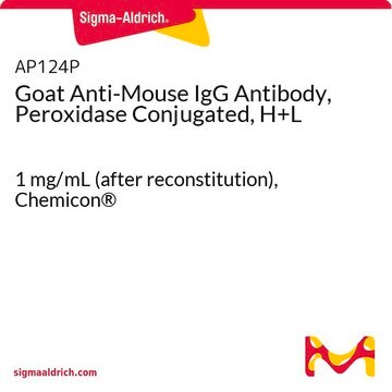 Goat Anti-Mouse IgG Antibody, Peroxidase Conjugated, H+L 1&#160;mg/mL (after reconstitution), Chemicon&#174;