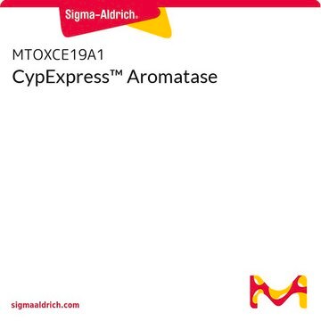 CypExpress&#8482; Aromatase