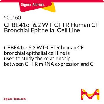 CFBE41o- 6.2 WT-CFTR Human CF Bronchial Epithelial Cell Line CFBE41o- 6.2 WT-CFTR human CF bronchial epithelial cell line is used to study the relationship between CFTR mRNA expression and Cl transport function.