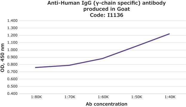 Anti-Human IgG (&#947;-chain specific) antibody produced in goat whole antiserum